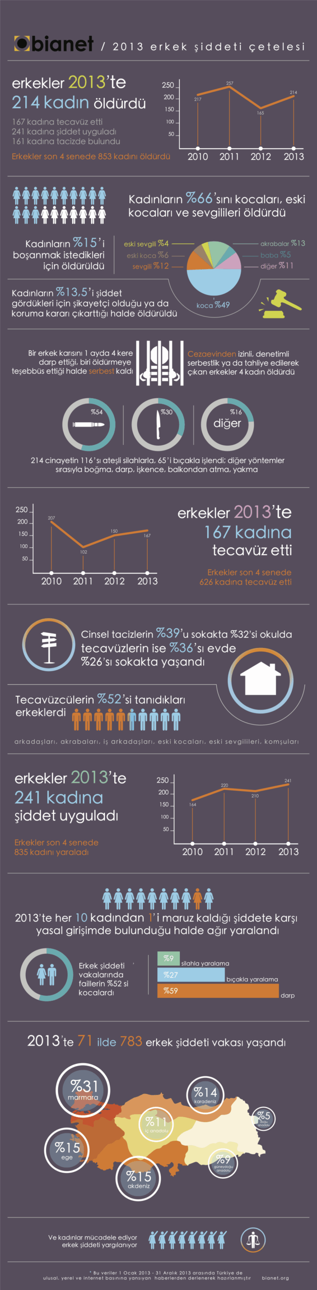 2013 Erkek Şiddeti Çetelesi Görseli